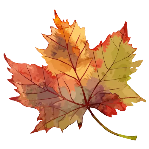 feuille aux couleurs de l'automne